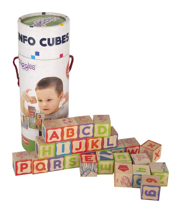 Funskool Giggles Info Cubes with wooden blocks